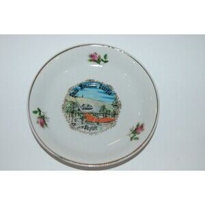 Vintage Stone Mountain Georgia Ga Skylift Saucer Souvenir Plate W/ Flowers 4.5"